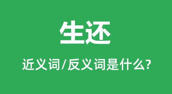 生還的近義詞和反義詞是什么,生還是什么意思