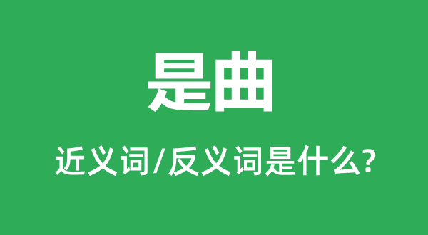 是曲的近義詞和反義詞是什么,是曲是什么意思