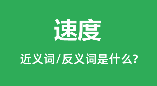 速度的近義詞和反義詞是什么,速度是什么意思