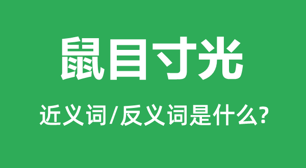鼠目寸光的近義詞和反義詞是什么,鼠目寸光是什么意思