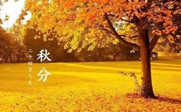 秋分節(jié)氣的含義是什么,秋分節(jié)氣的特點和風(fēng)俗簡介