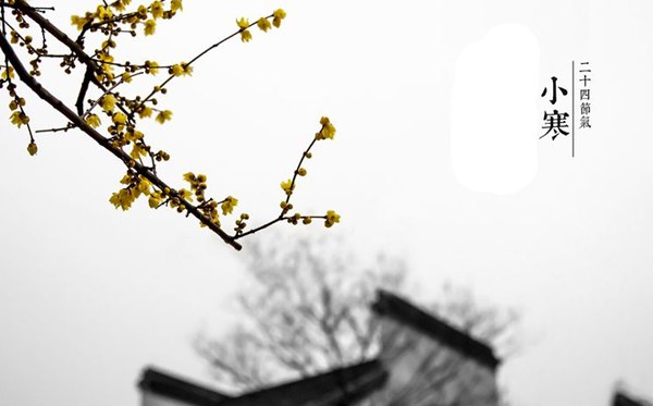 小寒節(jié)氣的含義是什么,小寒節(jié)氣的特點(diǎn)和風(fēng)俗簡介