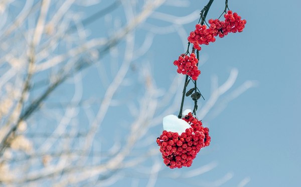 關(guān)于冬天的唯美句子(精選120句)