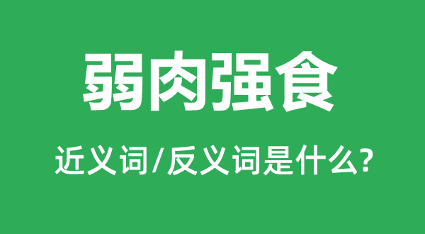 弱肉強(qiáng)食的近義詞和反義詞是什么,弱肉強(qiáng)食是什么意思