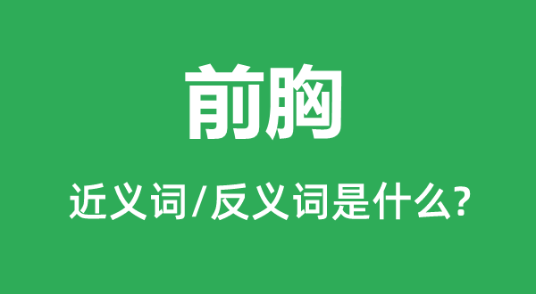 前胸的近義詞和反義詞是什么,前胸是什么意思