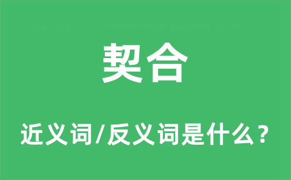 契合的近義詞和反義詞是什么,契合是什么意思