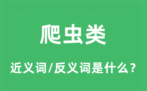 爬蟲類的近義詞和反義詞是什么,爬蟲類是什么意思