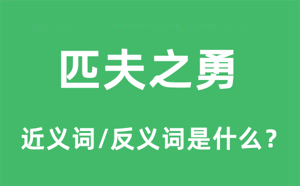 匹夫之勇的近義詞和反義詞是什么,匹夫之勇是什么意思
