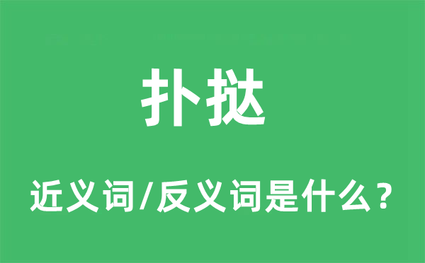 撲撻的近義詞和反義詞是什么,撲撻是什么意思