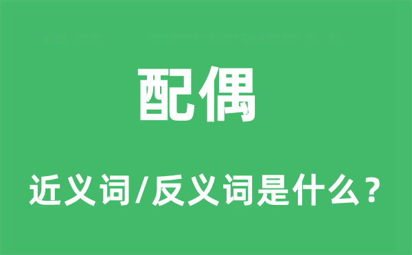 配偶的近義詞和反義詞是什么,配偶是什么意思