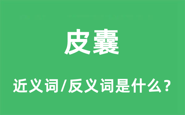 皮囊的近義詞和反義詞是什么,皮囊是什么意思