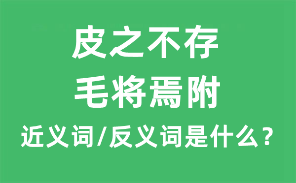 皮之不存，毛將焉附的近義詞和反義詞是什么,皮之不存，毛將焉附是什么意思