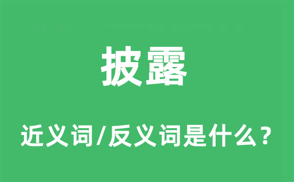 披露的近義詞和反義詞是什么,披露是什么意思