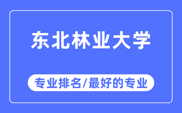 東北林業(yè)大學(xué)專業(yè)排名,東北林業(yè)大學(xué)最好的專業(yè)有哪些