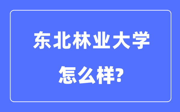 東北林業(yè)大學(xué)是985還是211,東北林業(yè)大學(xué)怎么樣？