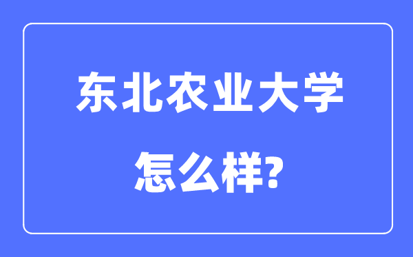 東北農(nóng)業(yè)大學(xué)是211嗎,東北農(nóng)業(yè)大學(xué)怎么樣？