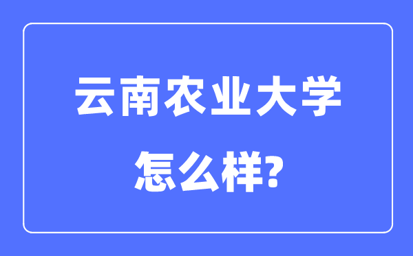 云南農(nóng)業(yè)大學(xué)是幾本一本還是二本,云南農(nóng)業(yè)大學(xué)怎么樣？