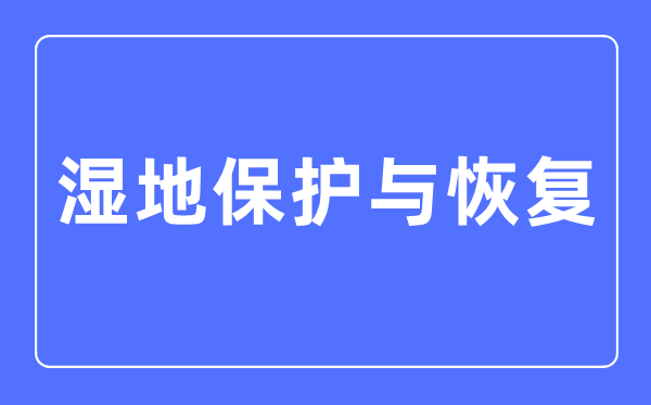濕地保護與恢復專業(yè)主要學什么,濕地保護與恢復專業(yè)的就業(yè)方向和前景分析