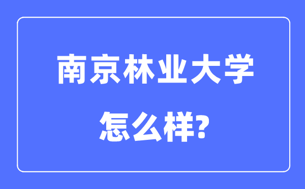 南京林業(yè)大學(xué)是985還是211,南京林業(yè)大學(xué)怎么樣？