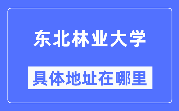 東北林業(yè)大學(xué)具體地址在哪里,在哪個城市，哪個區(qū)？