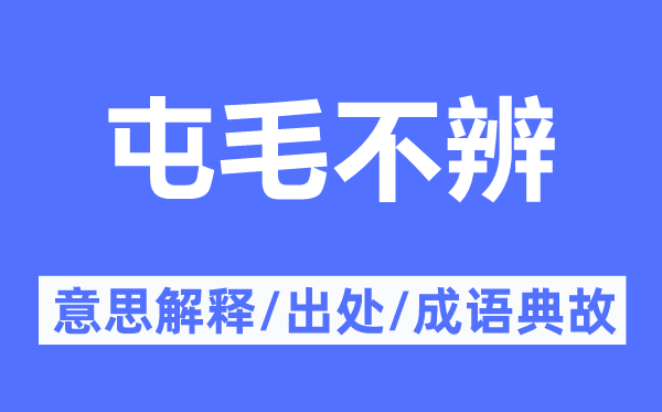 屯毛不辨的意思解釋,屯毛不辨的出處及成語典故