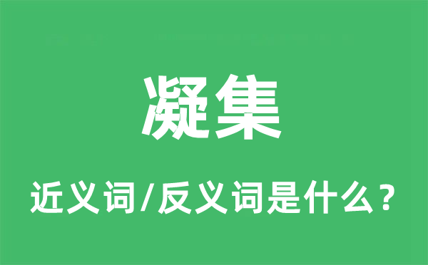凝集的近義詞和反義詞是什么,凝集是什么意思