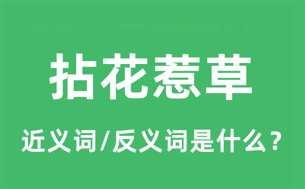 拈花惹草的近義詞和反義詞是什么,拈花惹草是什么意思