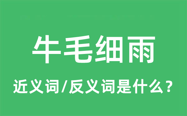 牛毛細雨的近義詞和反義詞是什么,牛毛細雨是什么意思