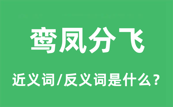 鸞鳳分飛的近義詞和反義詞是什么,鸞鳳分飛是什么意思