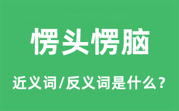 愣頭愣腦的近義詞和反義詞是什么,愣頭愣腦是什么意思