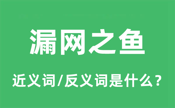 漏網(wǎng)之魚的近義詞和反義詞是什么,漏網(wǎng)之魚是什么意思