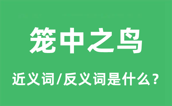 籠中之鳥(niǎo)的近義詞和反義詞是什么,籠中之鳥(niǎo)是什么意思