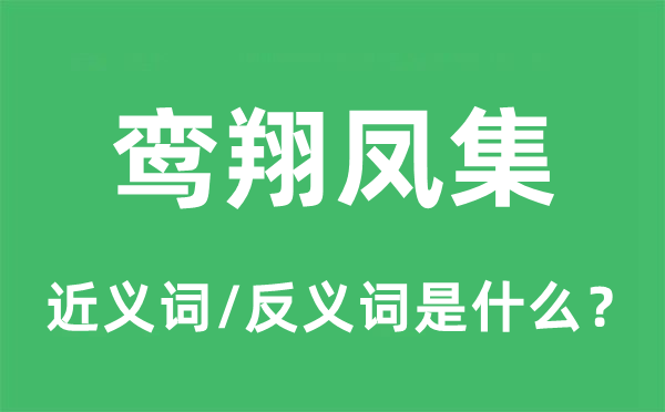 鸞翔鳳集的近義詞和反義詞是什么,鸞翔鳳集是什么意思