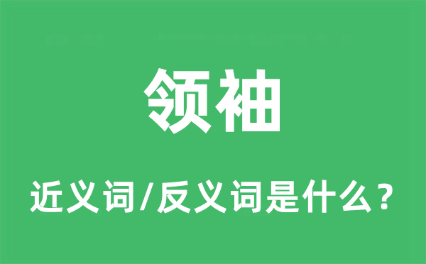 領(lǐng)袖的近義詞和反義詞是什么,領(lǐng)袖是什么意思