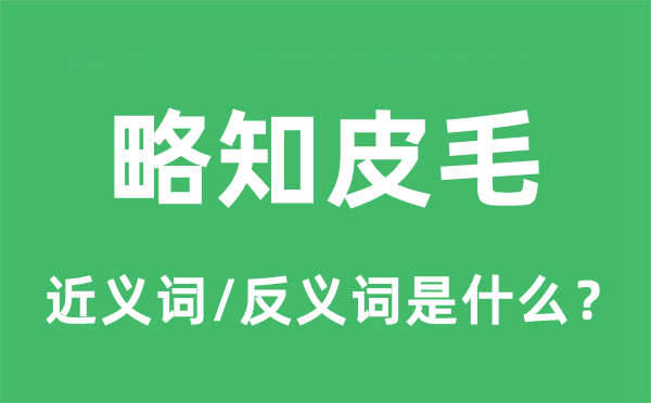 略知皮毛的近義詞和反義詞是什么,略知皮毛是什么意思