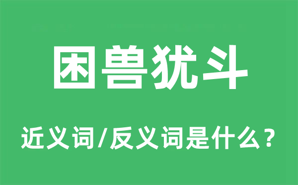 困獸猶斗的近義詞和反義詞是什么,困獸猶斗是什么意思