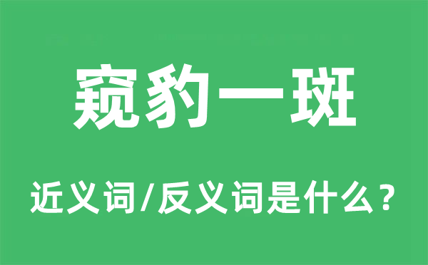 窺豹一斑的近義詞和反義詞是什么,窺豹一斑是什么意思