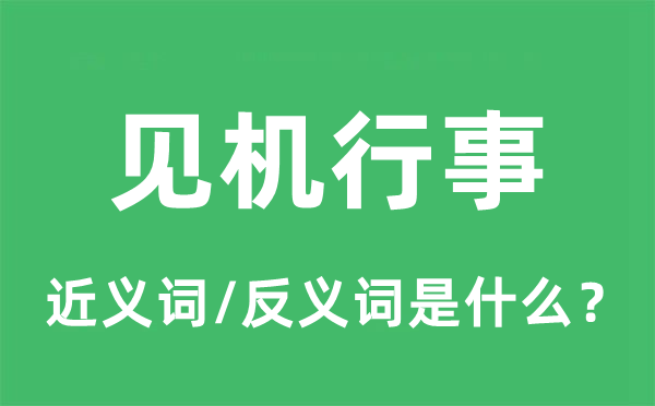 見機行事的近義詞和反義詞是什么,見機行事是什么意思