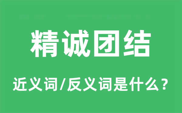 精誠團(tuán)結(jié)的近義詞和反義詞是什么,精誠團(tuán)結(jié)是什么意思