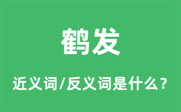 鶴發(fā)的近義詞和反義詞是什么,鶴發(fā)是什么意思