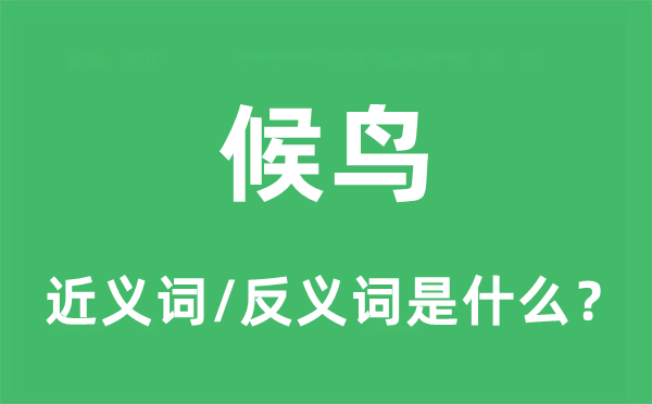 候鳥的近義詞和反義詞是什么,候鳥是什么意思