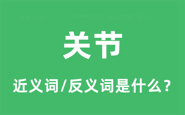 關(guān)節(jié)的近義詞和反義詞是什么,關(guān)節(jié)是什么意思