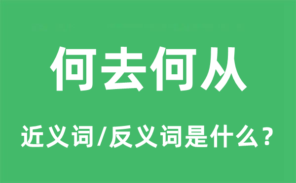 何去何從的近義詞和反義詞是什么,何去何從是什么意思