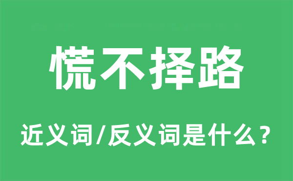 慌不擇路的近義詞和反義詞是什么,慌不擇路是什么意思