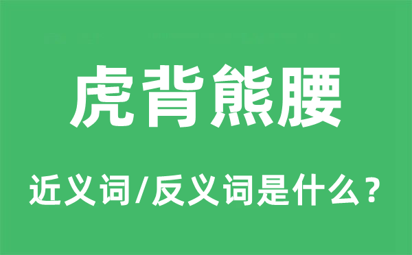虎背熊腰的近義詞和反義詞是什么,虎背熊腰是什么意思