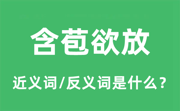 含苞欲放的近義詞和反義詞是什么,含苞欲放是什么意思