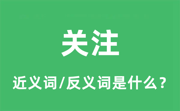 關(guān)注的近義詞和反義詞是什么,關(guān)注是什么意思