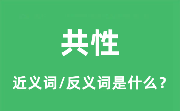 共性的近義詞和反義詞是什么,共性是什么意思