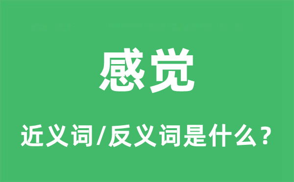 感覺的近義詞和反義詞是什么,感覺是什么意思