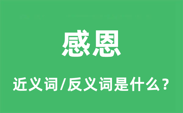 感恩的近義詞和反義詞是什么,感恩是什么意思